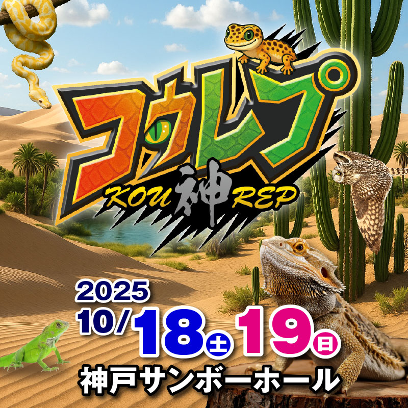 コウレプスマホヒーローイメージ