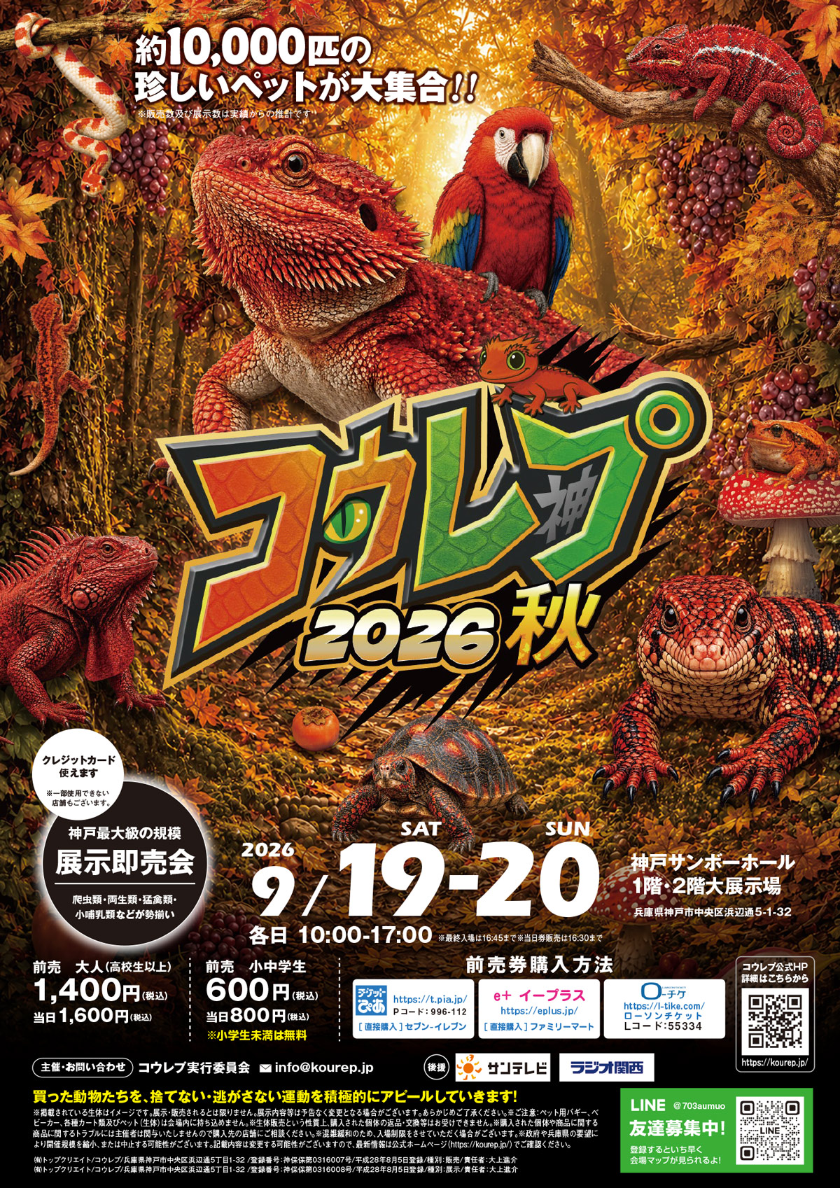コウレプ2026秋ヒーローイメージ