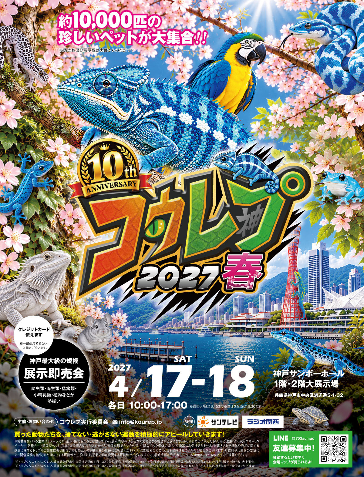 コウレプ2027春ヒーローイメージ