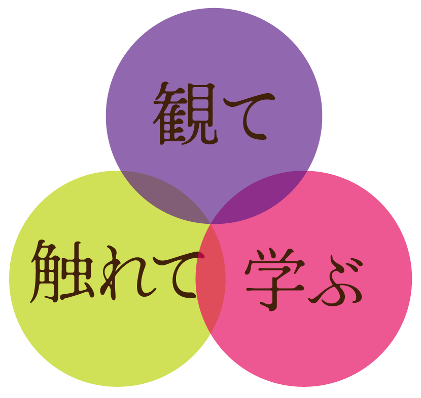 観て、触れて、学ぶ