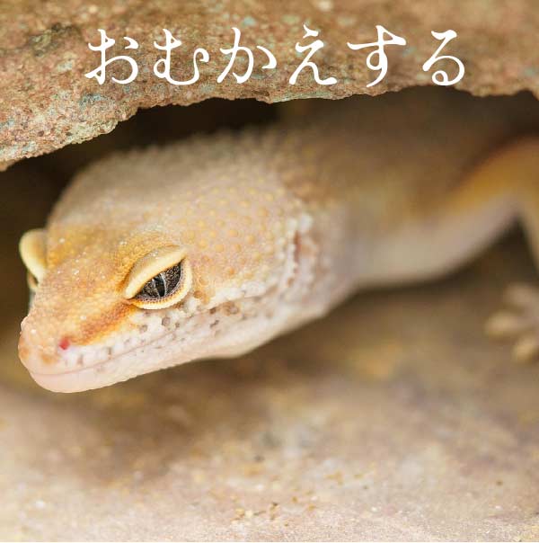 おむかえする
