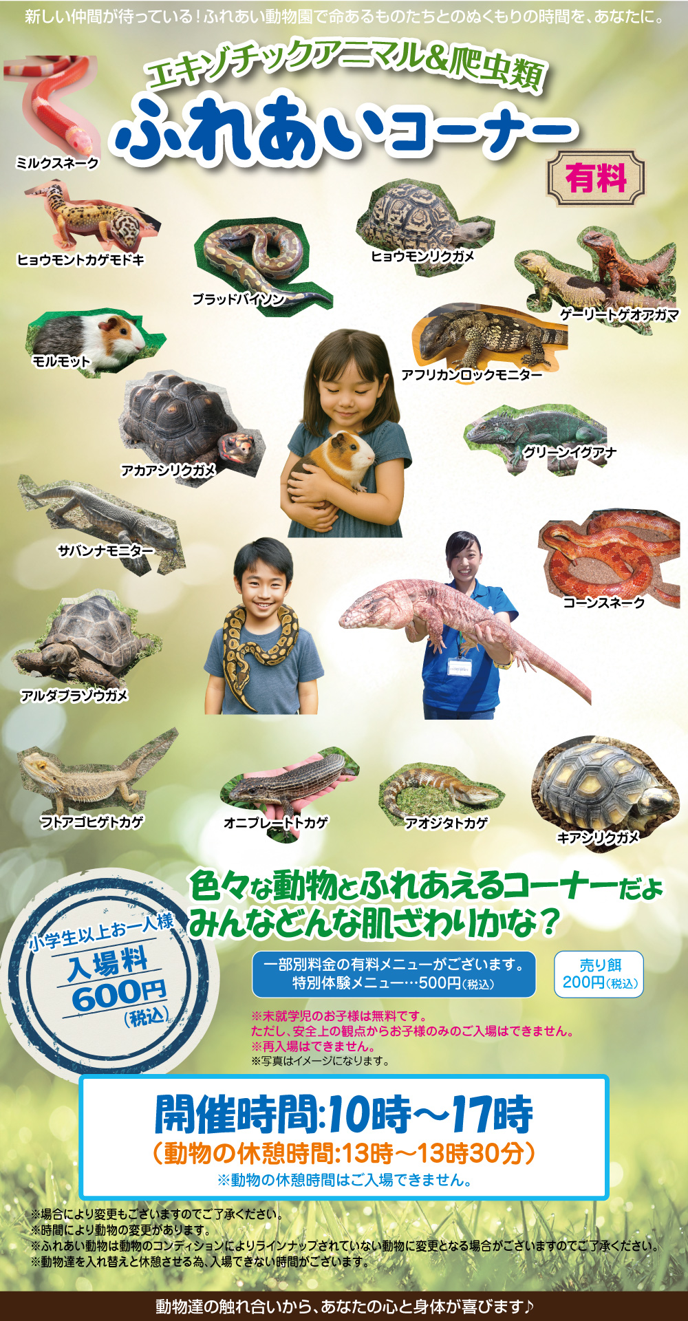 ふれあいコーナー