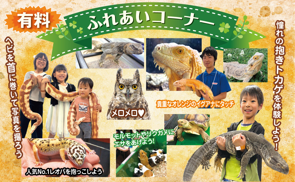 ふれあいコーナー