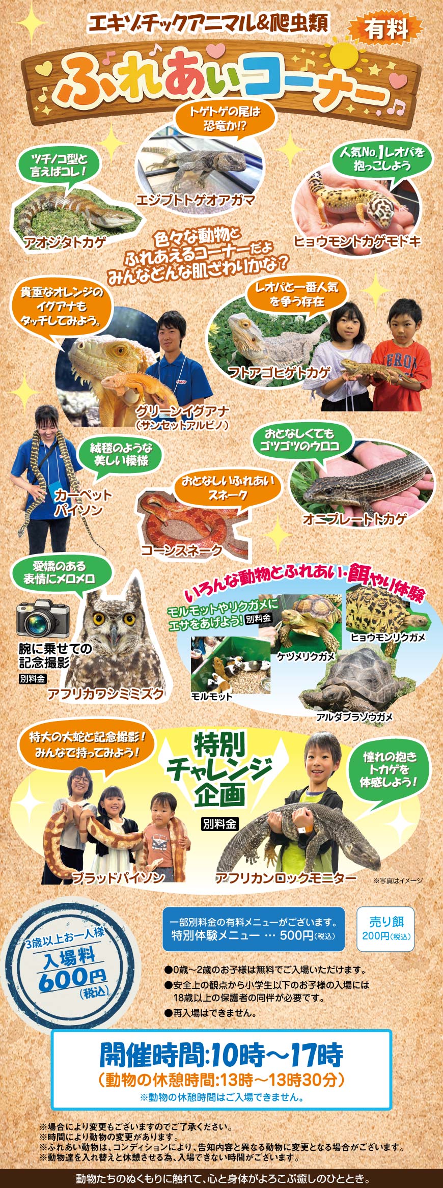 ふれあいコーナー