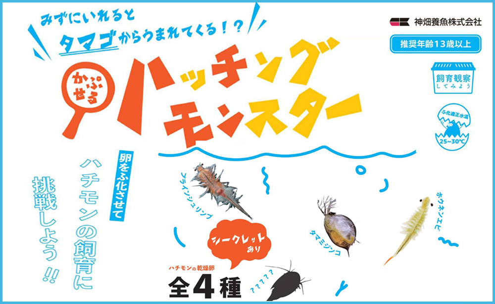 かぷせるハッチングもんすたー