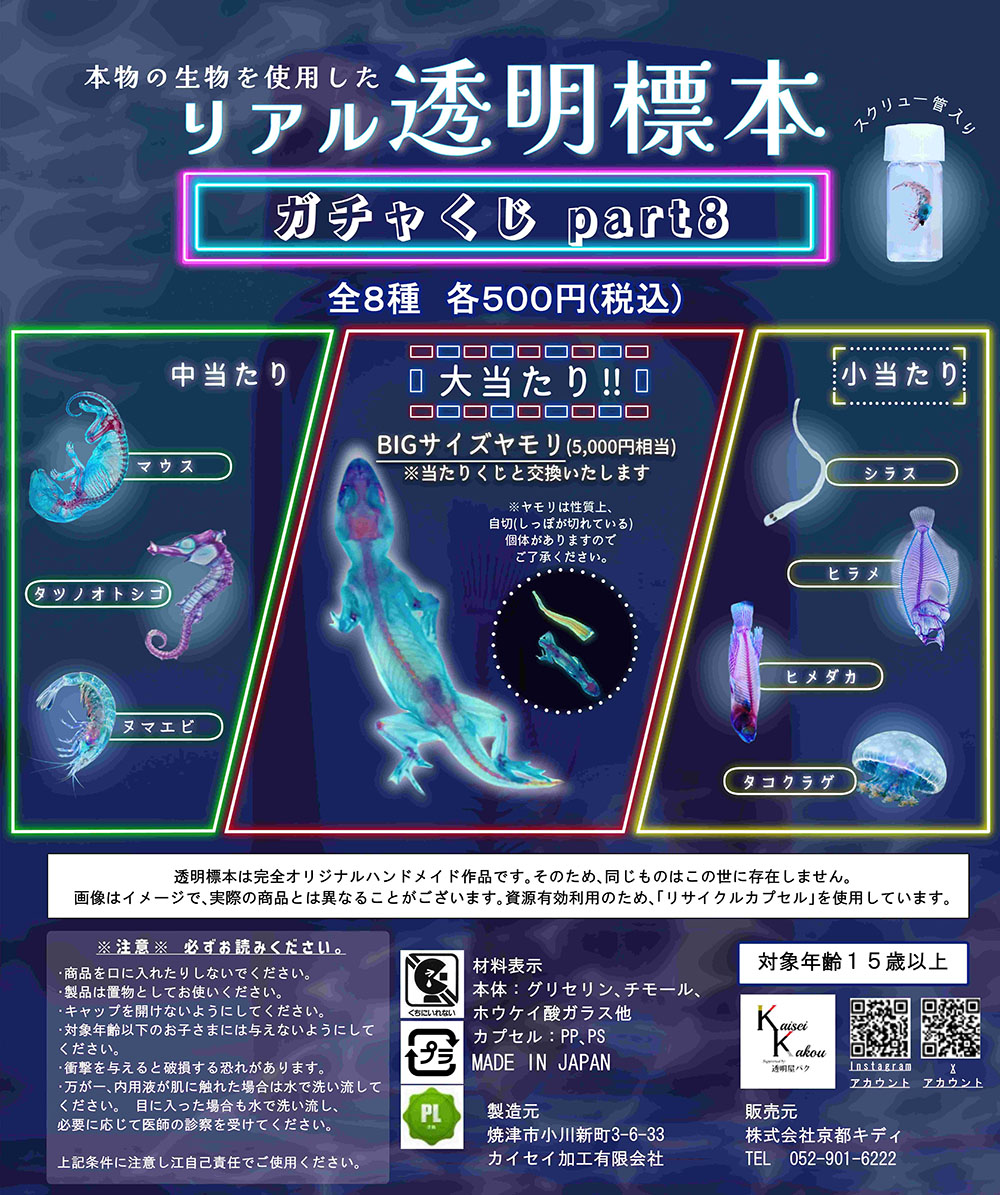 リアル透明標本ガチャくじpart8