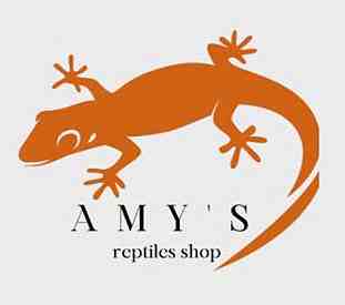 Amy's