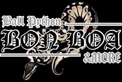 Bon Boa