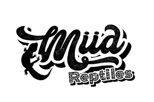 Miia Reptiles