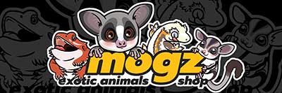 mogz