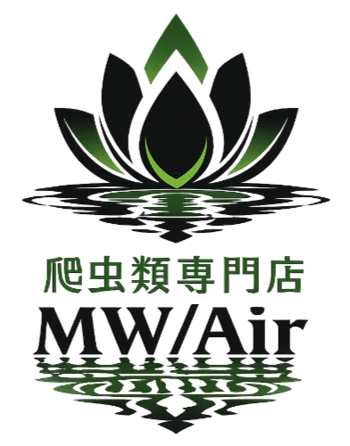 MW/Air