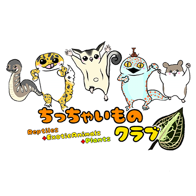 ちっちゃいものクラブ