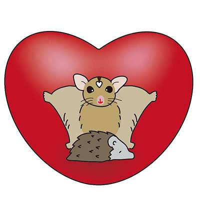 ヒメハリ倶楽部