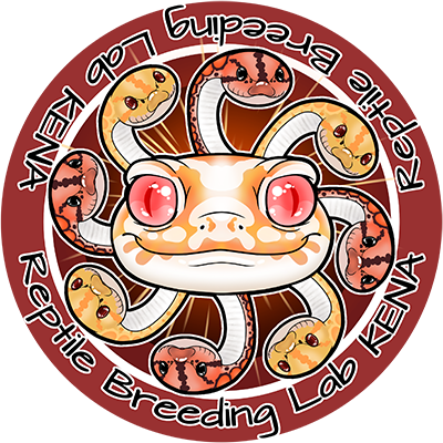 Reptile Breeding Lab KENA