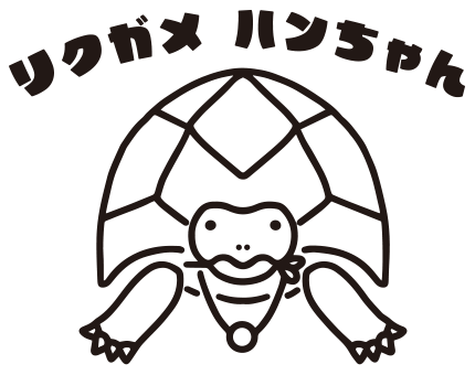 リクガメハンちゃん