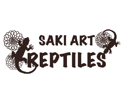 SAKI ART REPTILES