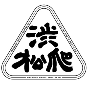 渋谷松濤爬虫類