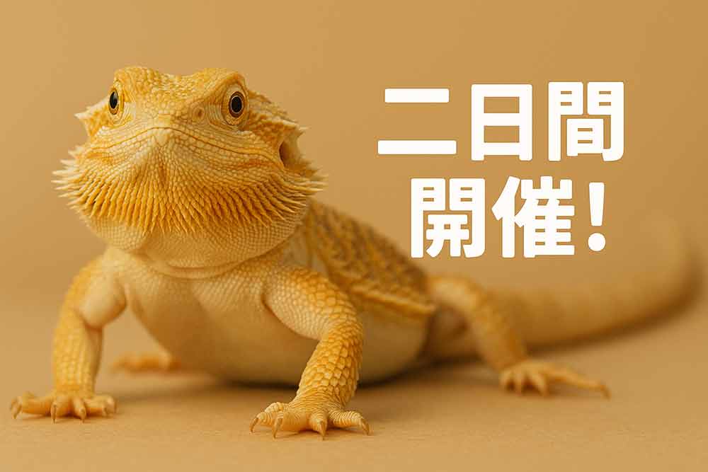 二日間開催フトアゴ