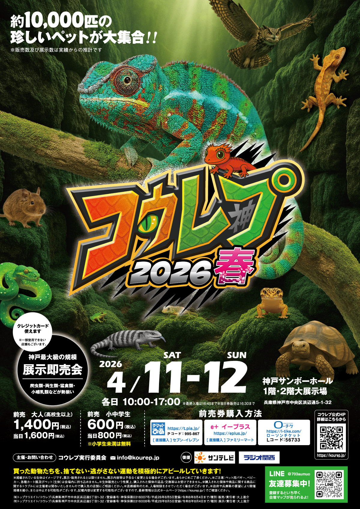 コウレプ2026春ヒーローイメージ表チラシ