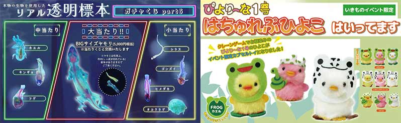 コウレプ2025ガチャ