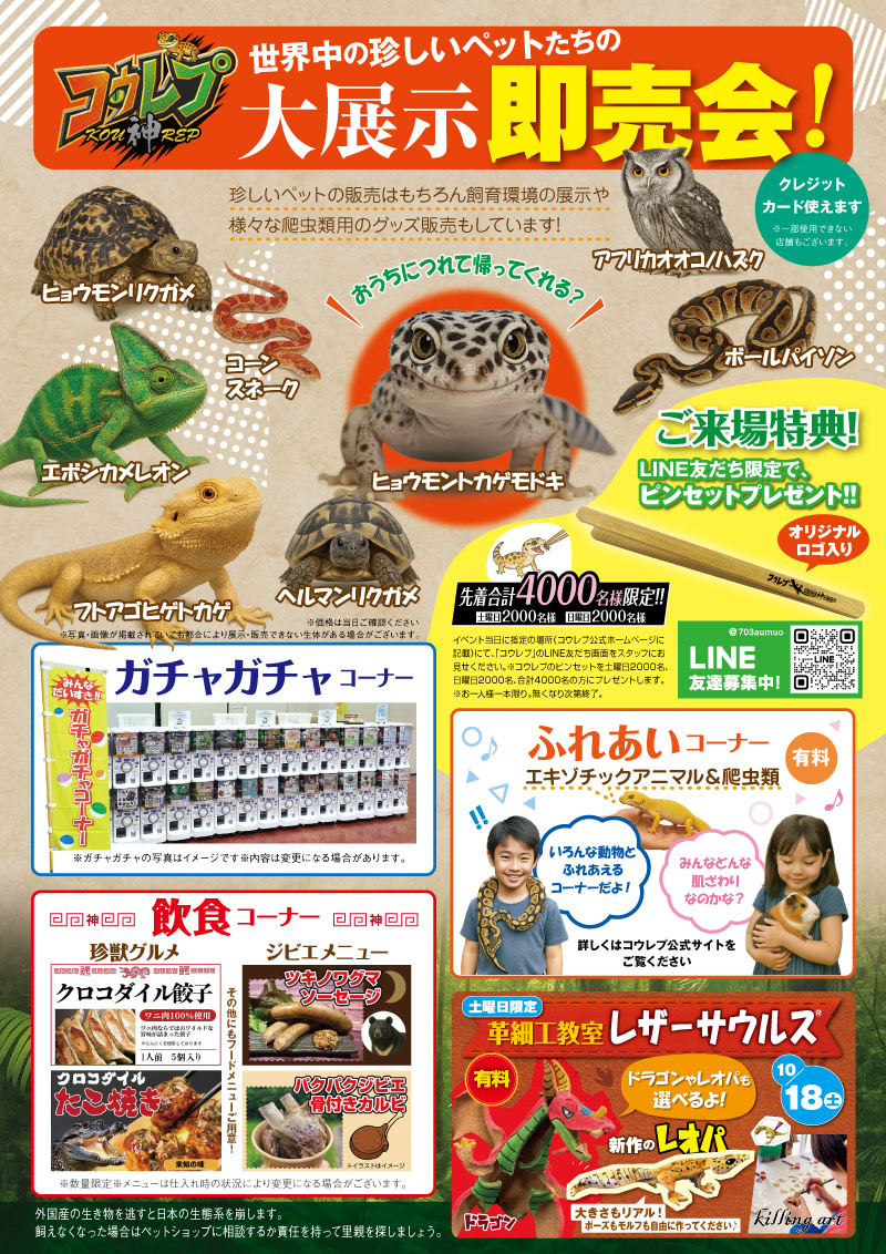 コウレプ2025チラシ裏面