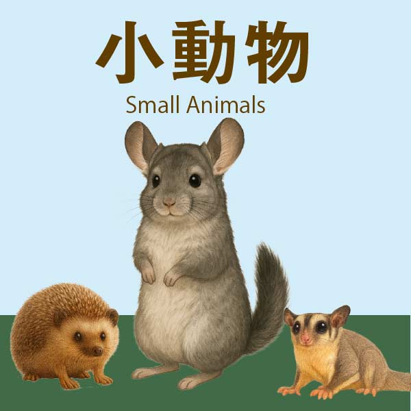 小動物