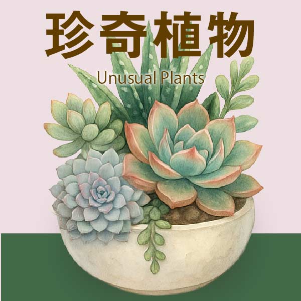 珍奇植物
