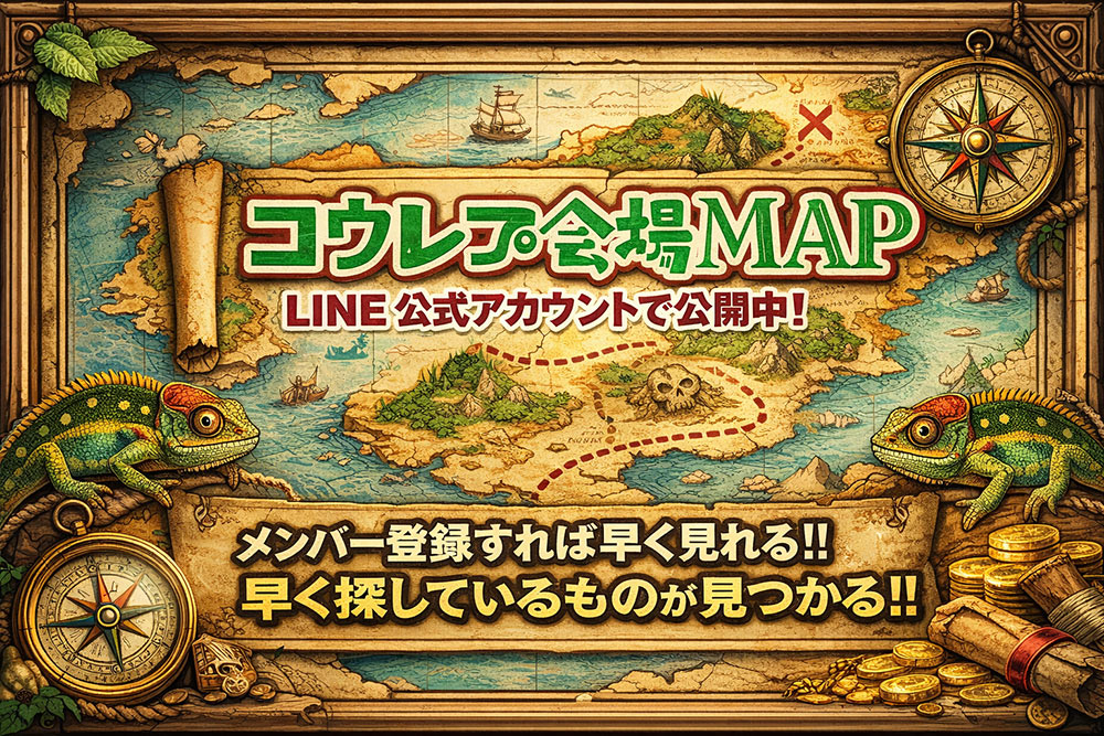コウレプ会場マップLINEバナー